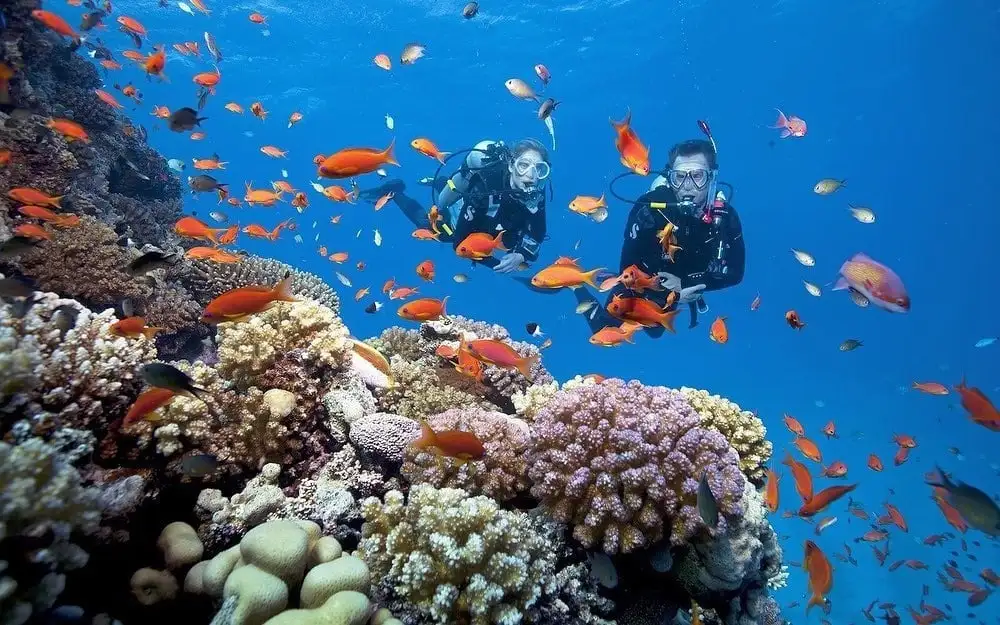 Snorkel en Bai Chong