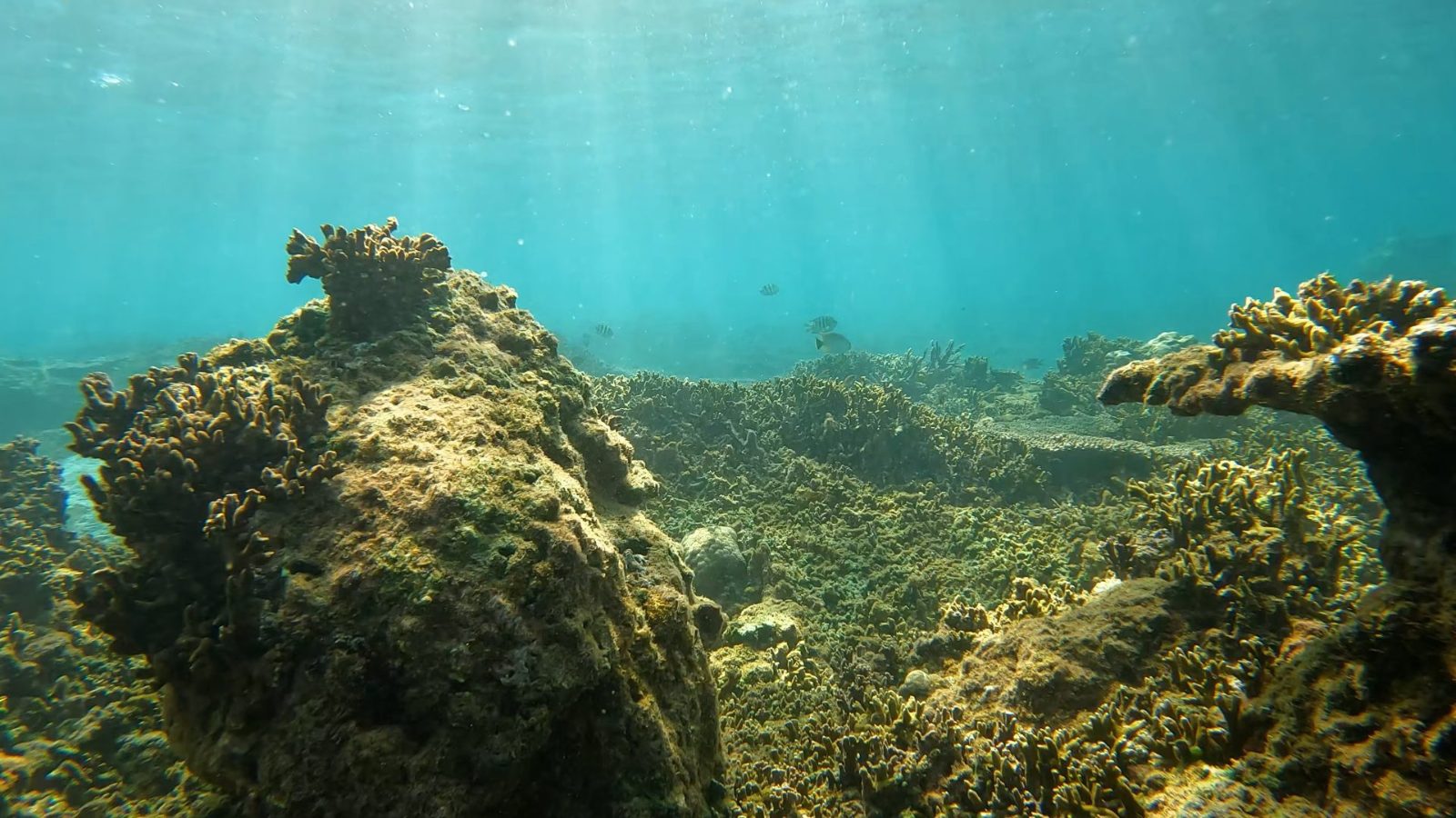 Snorkel en Bai Bac